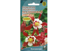 ��������� ��������� ������