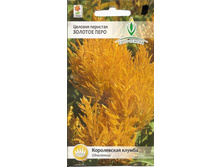 �������� �������� ������� ����