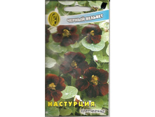 ��������� ������ �������