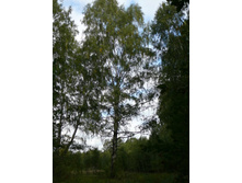 05.09.2010 23:47:39
