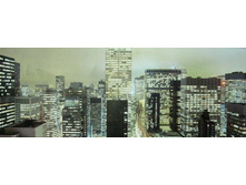 368 x 127 cm (4 parts) art. 4-258