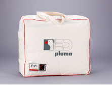 ������ Aspen nord.jpg