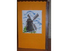 ���� ��������