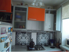 DSCN6252.JPG
