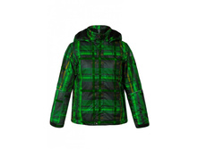 ������, ���., 100% ���������, 2000 