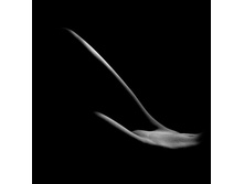 �� 53955757-picturecontent-pid-29062.jpg