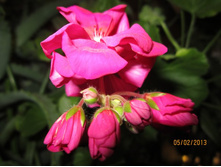 ��������� �������� ����������