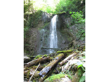 06.09.2010 21:32:35