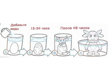 ZL08-680 �������� ��������� ������ 2.jpg