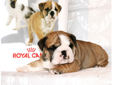 �������� 2 030.jpg