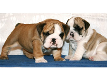 �������� 2 049.jpg