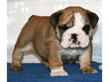 �������� 2 048.jpg