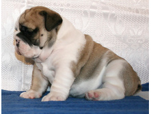 �������� 2 051.jpg