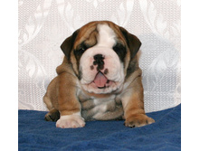 �������� 2 055.jpg