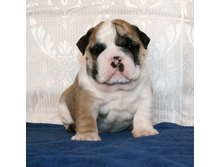 �������� 2 062.jpg