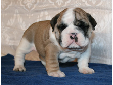 �������� 2 070.jpg