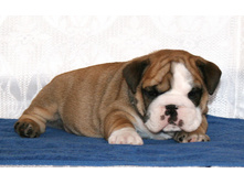 �������� 2 042.jpg