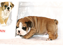 �������� 2 017.jpg