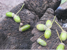 ����-�������� 2