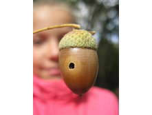 ���� � ������. ������� ��-�����