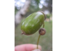 ����-��������