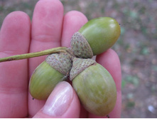 ��� ������ ���... �� �������� ����!