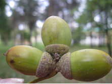 ����, ����, � - ������� �����!