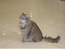 ��������� ����� ������� 