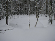 ����-������)