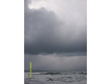 � ��, ��������, ���� ���� (�)  