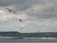 � ��� � ���, ��������� �����