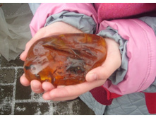 ��������� ������ - ���