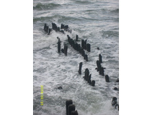 ������ ��������