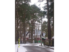 �� ����� ��� ������� 