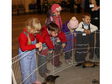 IMG_9560.jpg