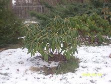 ��� �� ������� ���� � �����