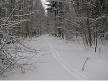 ��������� �����