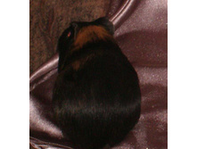 ��� ��� ����!