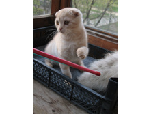 ����������� 062.jpg