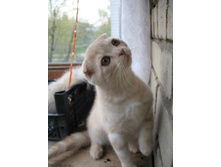 ����������� 064.jpg