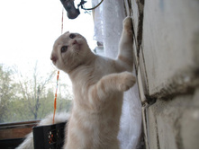 ����������� 065.jpg