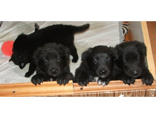 ������� ��������!