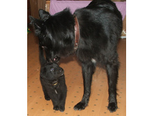 -�����!...-������!