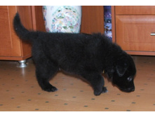 ������� ������