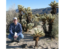 ���� �� ����� - ����� �������