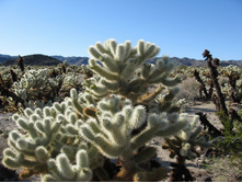 � ��� ����