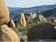 ������ ���