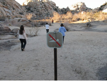 ����� �������� ������