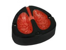 ��������� ���������� � ����� ������  150�.jpg