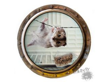 ������ ���� � ������������ \"��� ��������!\" 156�